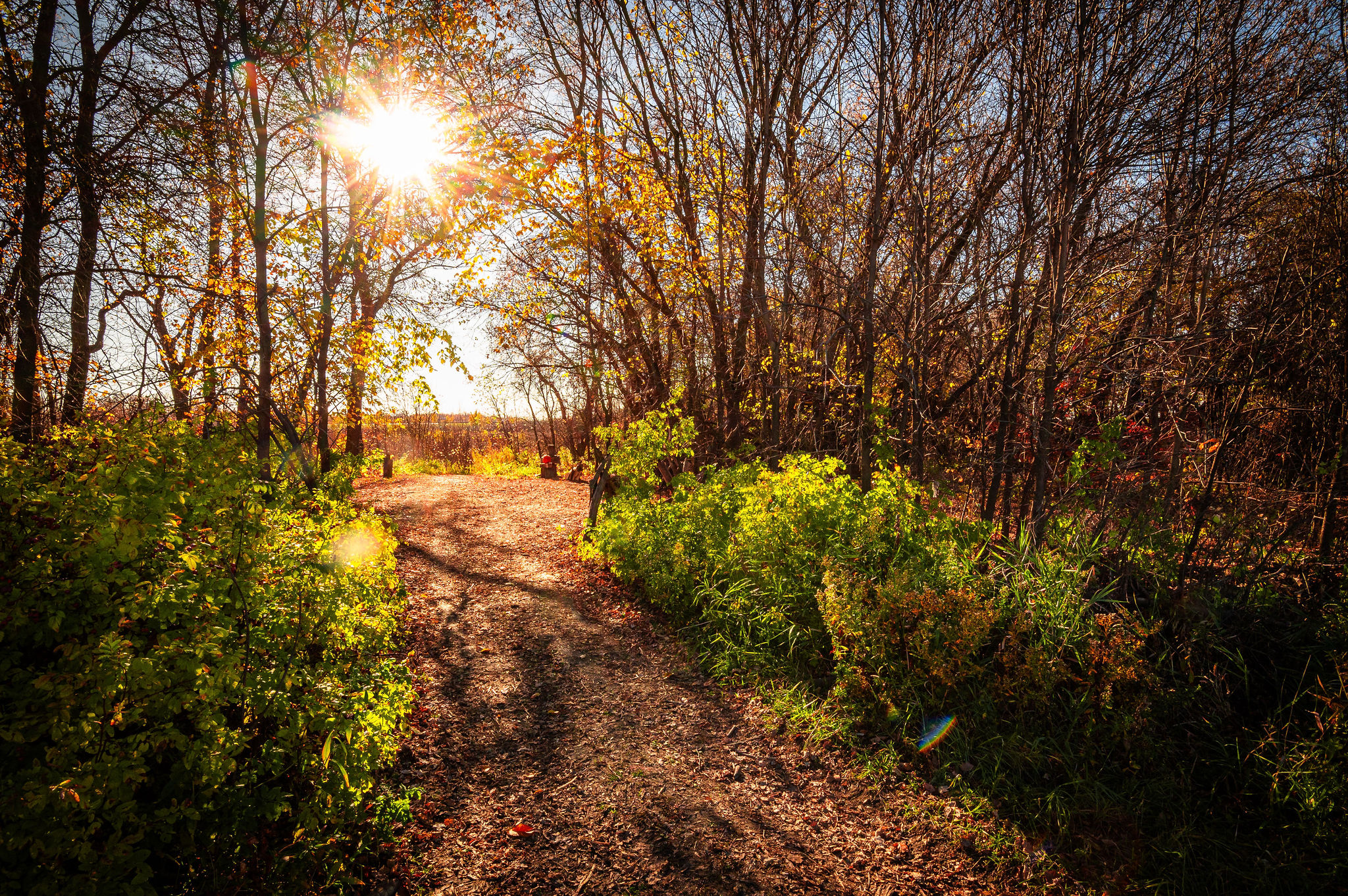 friendship trail 3