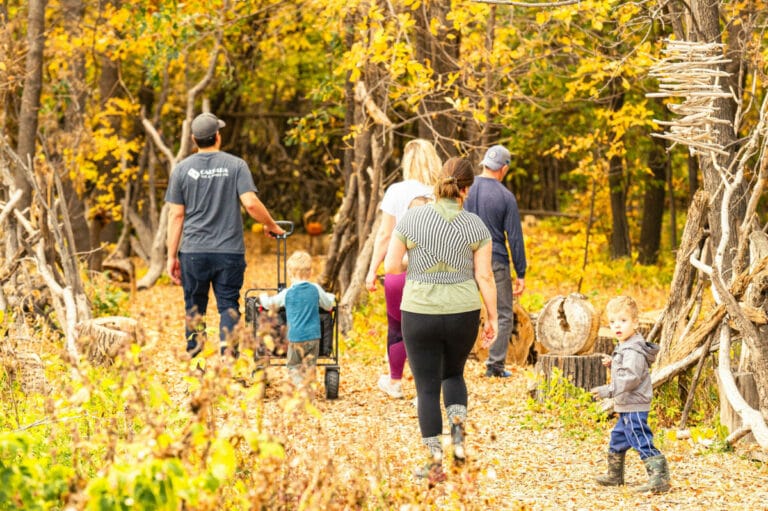 The hidden gems of St. Adolphe Friendship Trail – Bonjour Manitoba